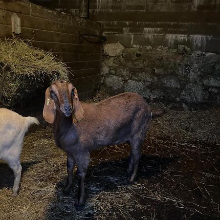 Tor Royal Farm Hotel Принстаун Екстериор снимка